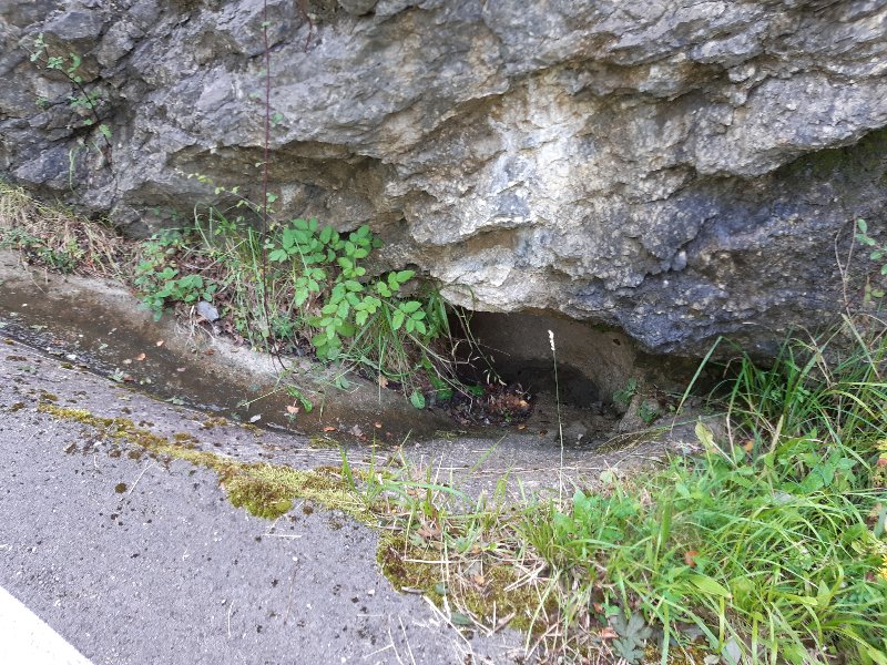 1466 camino calseca.jpg
La grotte sert pour évacuer l'eau du caniveau cimenté de la route de Calseca.
Fichier manquant